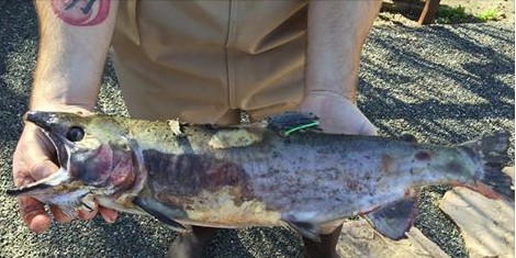 Debriefer: March 10, 2015