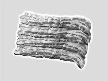 Bacon