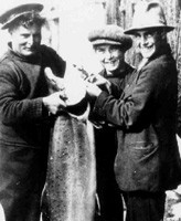 Down and Out in Bodega Bay