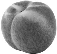 It’s the Food, Stupid