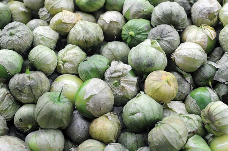 Floor-Lickin’ Good