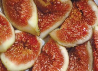 Want Some Figs?