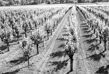 Healthcare For Farm Workers