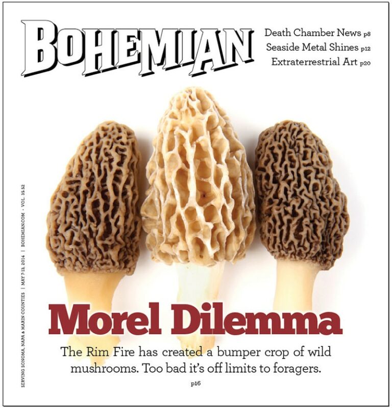 Morel
of the
Story Morel
of the
Story