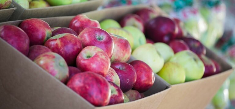 ‘Grav & Go!’ Pop-Up Replaces Canceled Gravenstein Apple Fair