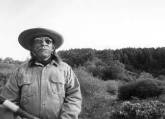 Logging in the Russian River Area