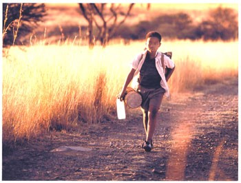 Mill Valley Film Festival