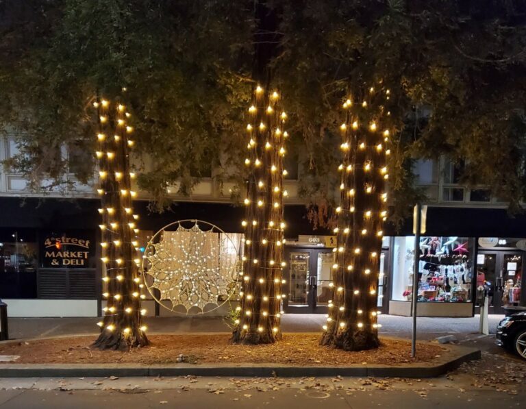 ‘Winter Lights’ Shines On in Santa Rosa