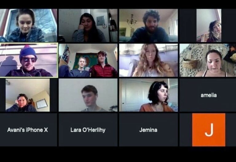 Environmentalism Goes Livestream