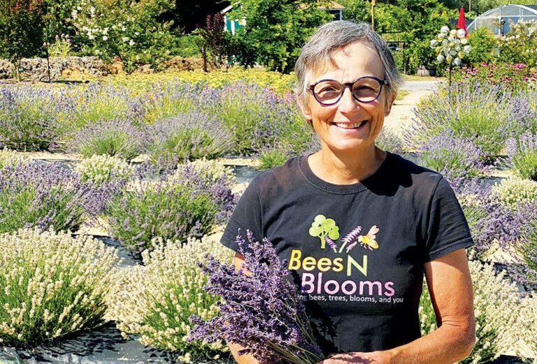 Lavender Labyrinth Serves As Sustainable Sanctuary For North Bay Residents
