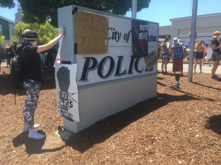 Petaluma Approves Leghorns Park Artwork, Dodges Legal Questions