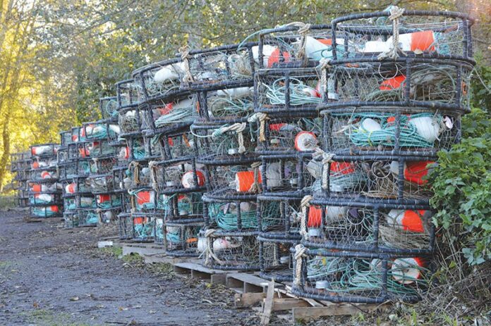 news-0c57600f45e17dbd