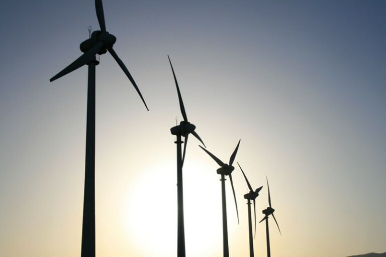 Glow Local Glow Local