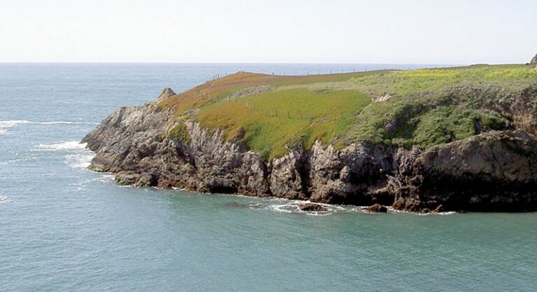 Beaches ‘n’ Foes