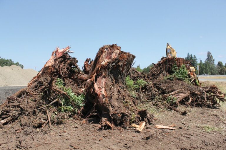 Highway Blues Highway Blues