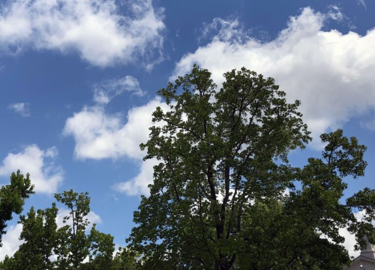 Sheltering in Place Has Improved Bay Area’s Air Quality—But How Long Will It Last?