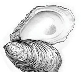 Rice ‘n’ Oysters