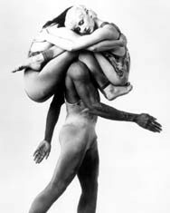 Pilobolus