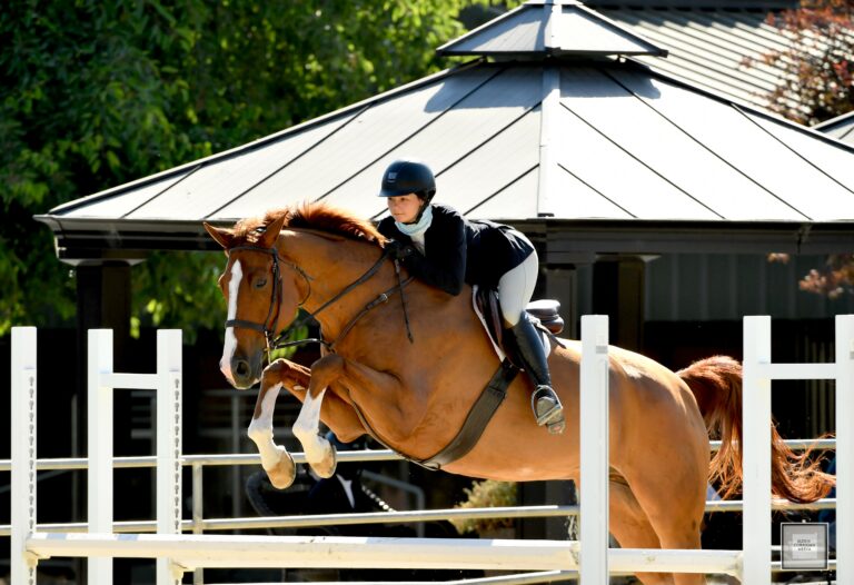 Derby Weekend in Petaluma Raises Funds for Redwood Empire Food Bank