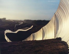 Good Fences Make Good Art