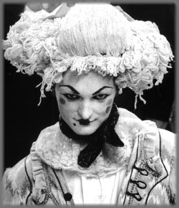 Sonoma County Theater Companies