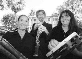 Petaluma Summer Music Festival