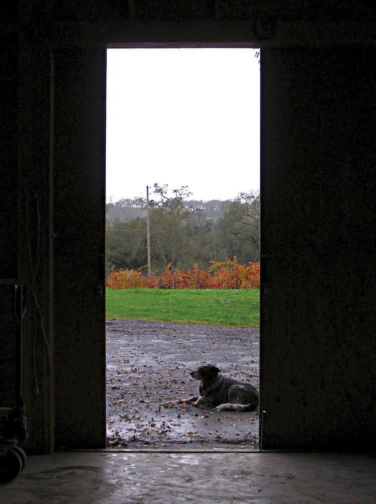 Bucklin Winery Bucklin Winery