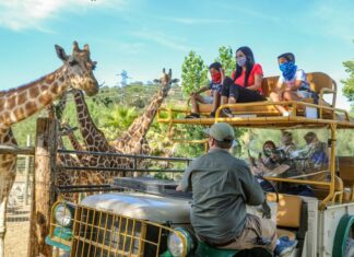 Safari West Launches Virtual ‘Tour’ for Underserved and Hospitalized Children