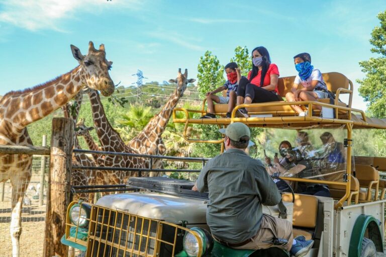 Safari West Launches Virtual ‘Tour’ for Underserved and Hospitalized Children