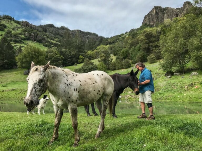 Meet a ‘Calistogan’ at Napa Valley Art Exhibit