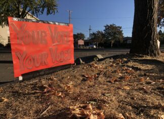 Two Incumbents, Two Newcomers Poised to Win Seats on Santa Rosa City Council