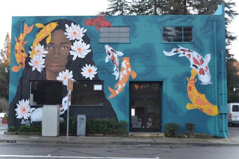 Public Murals Hit the Streets in Sonoma County
