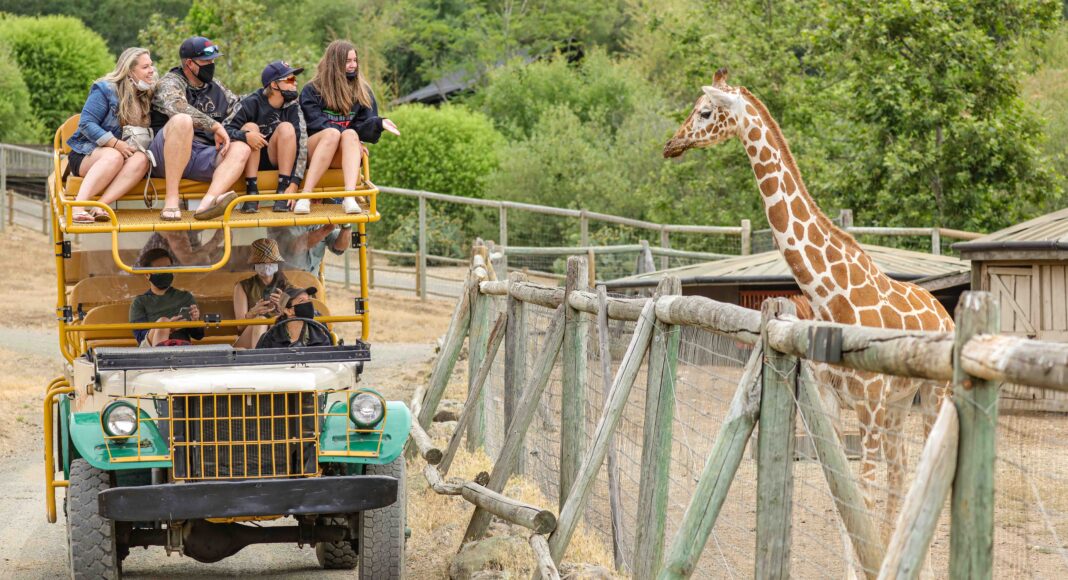 Safari West Valentine's Day 2021 Will Bucquoy