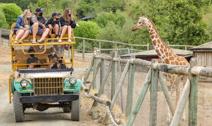 Safari West Valentine's Day 2021 Will Bucquoy