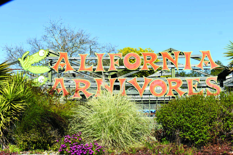 Best Place To Confuse Your Local Vegan