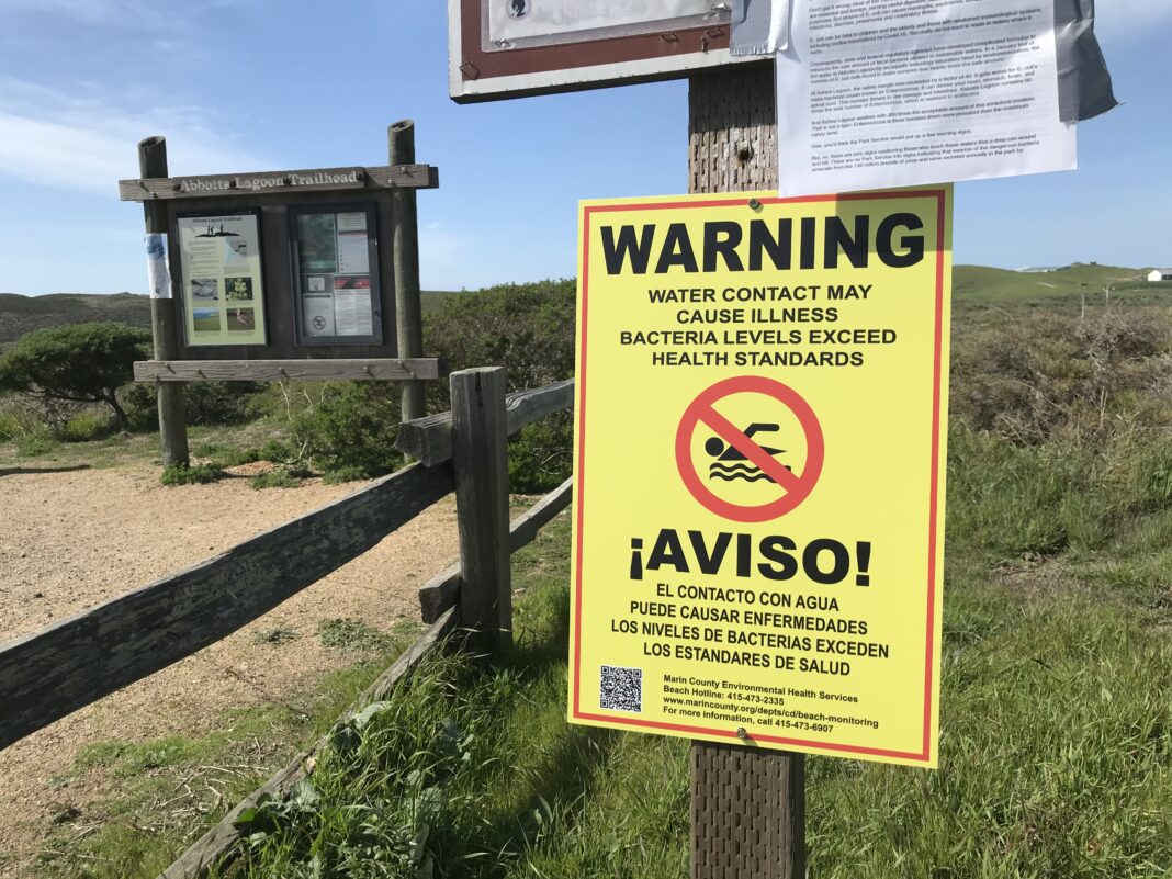 Marin County Posts, Then Removes, Fecal Bacteria Warning Signs at Point