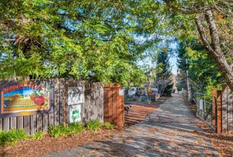 North Bay Musicians Support Sonoma County Permaculture Farm in Concert