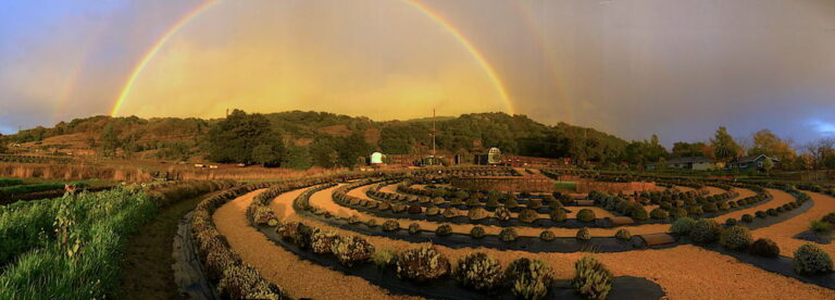 Best Place To Catch a Romantic Buzz