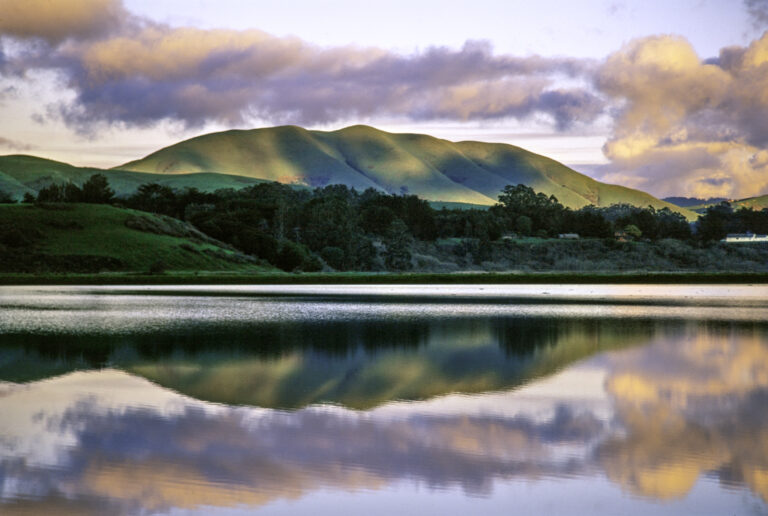 Several North Bay Art Galleries Open Up with Live Receptions