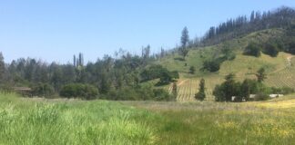 Pepperwood Preserve - Sonoma County, California