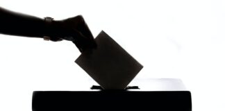 Ballot box silhouette