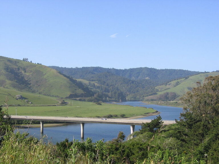 Open Mic: Finding Eden in an Eddy