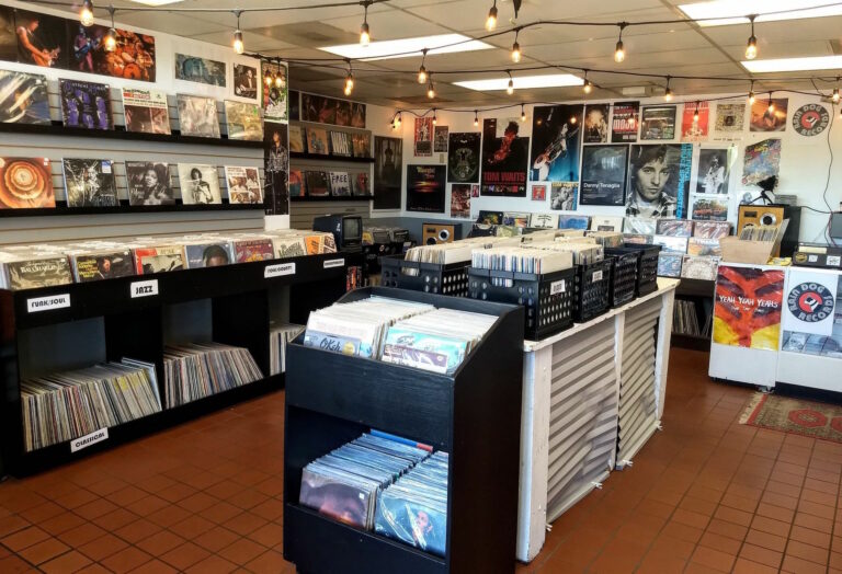 Vinyl Destinations: Record Stores Keep Spinning in the North Bay