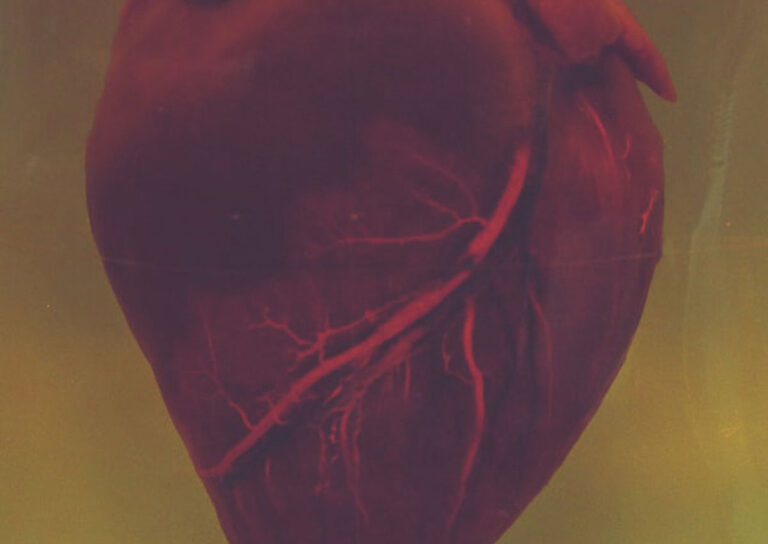 Heart Start: Invest In Your Chest