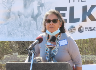 Theresa-Harlan-Point-Reyes-National-Seashore