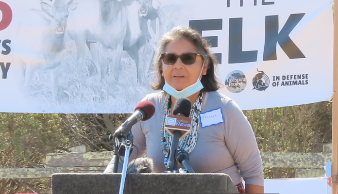 Theresa-Harlan-Point-Reyes-National-Seashore