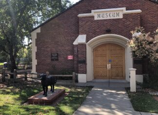 SRJC Multicultural Museum - Will Carruthers