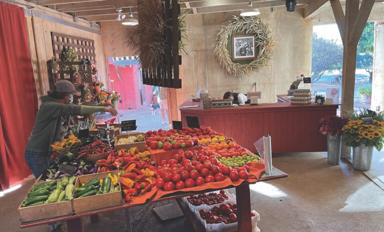 Sonoma County Farm Trails Connect the Public and Local Foods