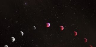 Farzad Mohsenvand/Unsplash