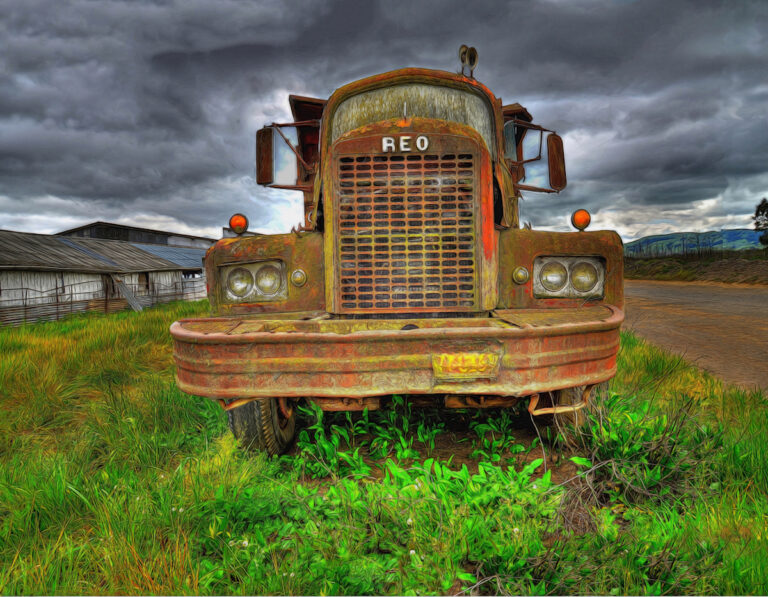 Napa Valley Museum Extends Exhibits Featuring Local Creators and Collectors